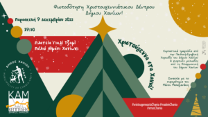 fwtodotisi-xristougenniatikou-dentrou-chania
