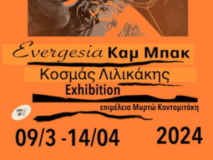 lilikakis_ekthesi_hp12