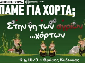 pame_gia_xorta_vryses_platania
