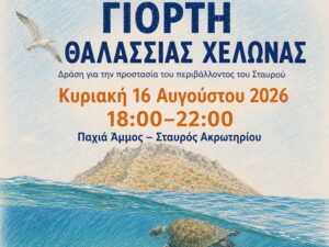 Αφίσα για τη Γιορτή Θαλάσσιας Χελώνας στην Παχιά Άμμο στον Σταυρό Ακρωτηρίου