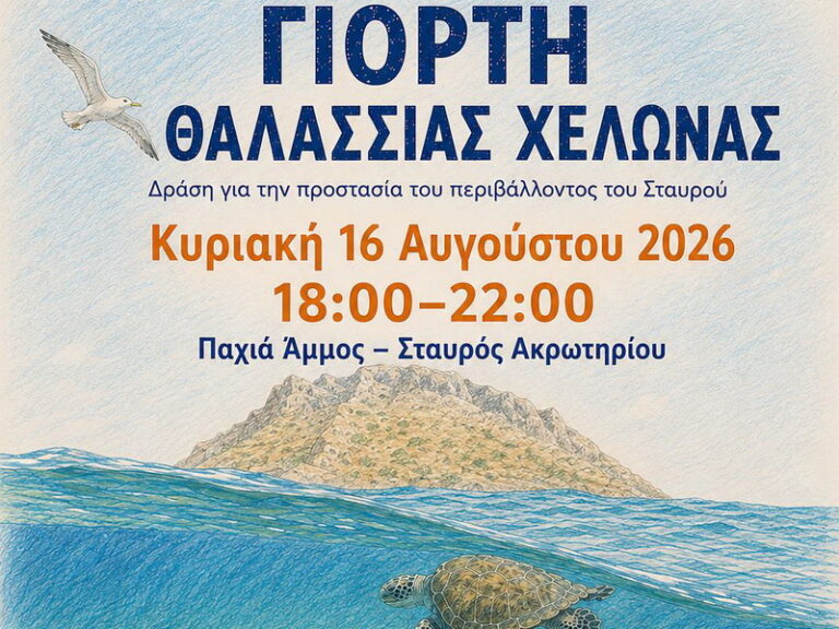 Αφίσα για τη Γιορτή Θαλάσσιας Χελώνας στην Παχιά Άμμο στον Σταυρό Ακρωτηρίου